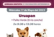 SSM anuncia vacunación a perros y gatos en colonia Palito Verde