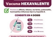Vital, aplicación de vacuna hexavalente en menores de edad: SSM