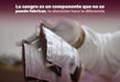 Llama SSM a michoacanos a donar sangre de manera altruista
