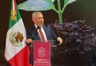 Oprime Bedolla botón para iniciar el monitoreo satelital de zonas forestales