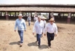 Bedolla y Cuauhtémoc Cárdenas visitan rancho ganadero de Tipítaro