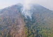 Más de 400 brigadistas combaten incendio forestal en cerro Grande