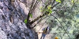 Con 641 incendios forestales, Michoacán se coloca en cuarto sitio nacional