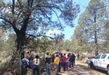 Intensifican Cofom y SSP vigilancia para prevenir incendios forestales en Morelia