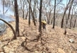 Refuerza Gobierno de Michoacán acciones para atender incendios forestales