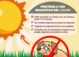 Protege a tus mascotas del calor con estas recomendaciones de la SSM