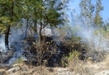 Cofom atiende y controla 4 incendios forestales en Michoacán