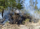 Cofom atiende y controla 4 incendios forestales en Michoacán