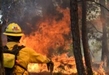 Sigue estas recomendaciones de la Cofom para prevenir incendios forestales