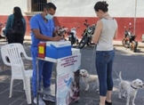 SSM ofrece vacunación antirrábica gratuita canina y felina en Centro de Morelia