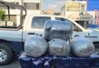 Asegura GC a masculino en posesión de más de 80 kilos de droga
