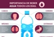 Conoce los beneficios de beber agua todos los días para tu organismo