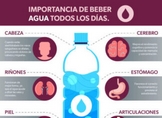 Conoce los beneficios de beber agua todos los días para tu organismo