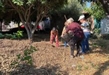Gobierno Municipal y ciudadanía, participan en jornada de limpieza en colonia Joaquín Amaro