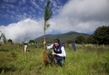 Morelia creará un vivero municipal para producir 1 millón de árboles