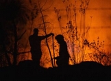 Michoacán frenó fuego forestal con 20 mdp