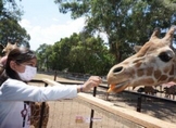 El verano se vive en el Zoo de Morelia con atractivos y experiencias educativas
