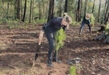Gobierno Municipal reforesta segunda etapa de bosque rescatado
