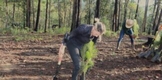 Gobierno Municipal reforesta segunda etapa de bosque rescatado