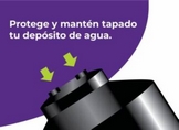Evita enfermedades en temporada lluvias limpiando tinacos y cisternas