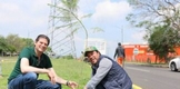 Gobierno Municipal reforesta bosque en la Clínica de Autismo