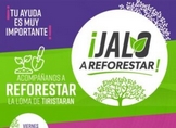 Ijumich y Secma invitan a participar en la iniciativa Jalo a Reforestar