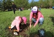 Ijumich y Secma reforestan área de conservación de la Loma de Tiristarán