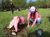 Ijumich y Secma reforestan área de conservación de la Loma de Tiristarán