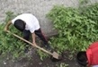 Niños de Casa Hogar se suman a reforestación de la Cofom