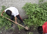 Niños de Casa Hogar se suman a reforestación de la Cofom