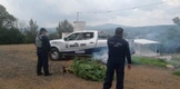 SSP LOCALIZA E INCINERA PLANTÍO DE MARIHUANA, EN LAGUNILLAS