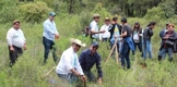 Plantan 100 mil árboles en bosques de Aporo afectados por incendios