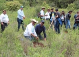 Plantan 100 mil árboles en bosques de Aporo afectados por incendios