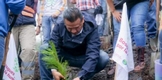 Encabeza Torres Piña reforestación en cerro La Mezcalera