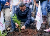 Encabeza Torres Piña reforestación en cerro La Mezcalera