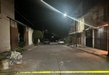 Inicia FGE investigación por «Crueldad Animal» por asesinato de dos perritas en Tangancícuaro; alcalde es señalado como el hechor