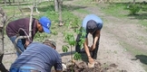 Con plantación de árbol sagrado, Cecytem refrenda compromiso con el medio ambiente
