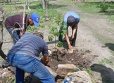 Con plantación de árbol sagrado, Cecytem refrenda compromiso con el medio ambiente