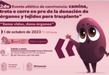 Realizará SSM carrera para promover la donación de órganos