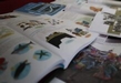 Participaron 46 michoacanos en elaboración de libros de texto: SEE