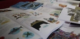 Participaron 46 michoacanos en elaboración de libros de texto: SEE