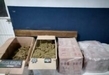 Aseguran Guardia Civil y Policía Municipal, 60 kilos de marihuana en Apatzingán