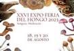 Conoce las más de 250 especies de hongos en la feria de Senguio