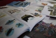 Libros de texto desmitifican la sexualidad y promueven el respeto: SEE