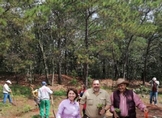 Michoacán busca denominación de Agave Responsable con el Ambiente