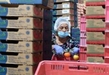 Empresas cumplen con acreditación laboral; van 2 mil 500 registros: Sedeco