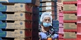 Empresas cumplen con acreditación laboral; van 2 mil 500 registros: Sedeco