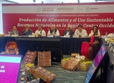 Pide Sader federal a Estados producir más alimentos para reducir pobreza