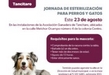 Anuncia SSM jornada gratuita de esterilización canina y felina en Tancítaro