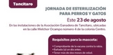 Anuncia SSM jornada gratuita de esterilización canina y felina en Tancítaro